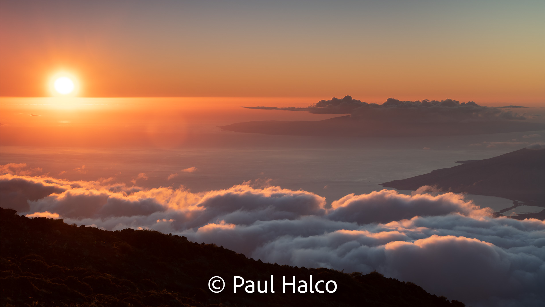 Paul Halco - Haleakula NP-6